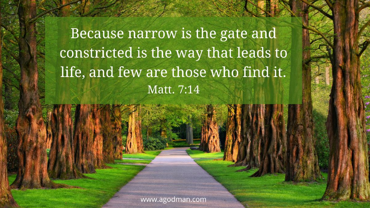 Because narrow is the gate and constricted is the way that leads to life, and few are those who find it. Matt. 7:14