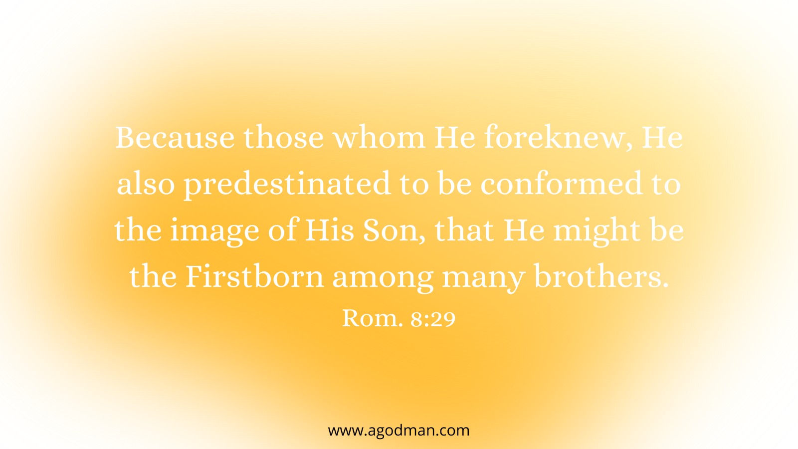 Because those whom He foreknew, He also predestinated to be conformed to the image of His Son, that He might be the Firstborn among many brothers. Rom. 8:29