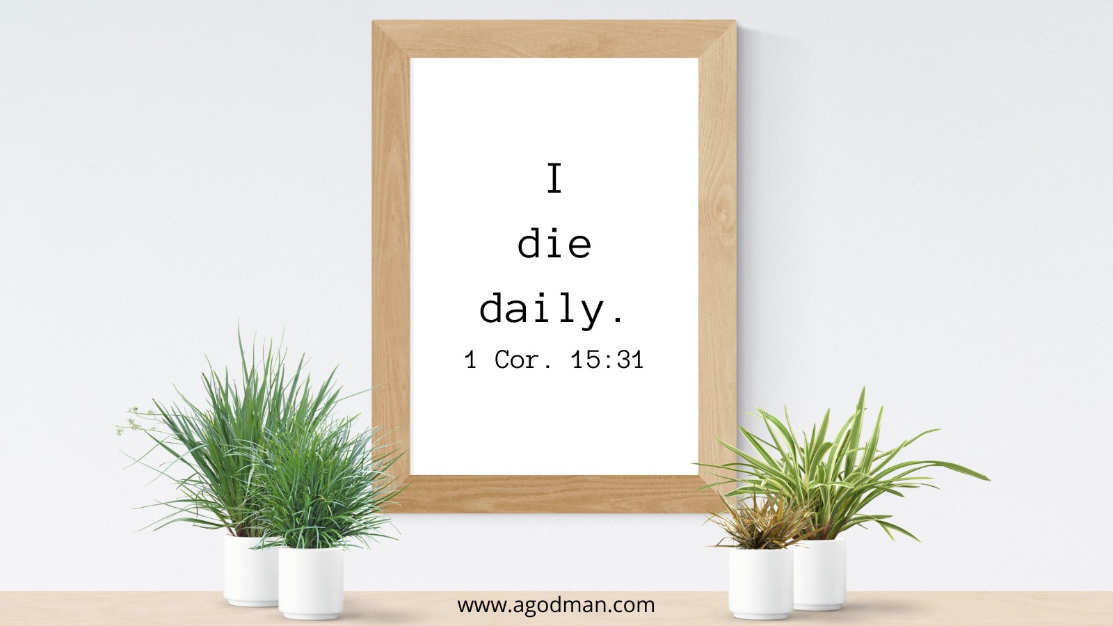 ...I die daily. 1 Cor. 15:31