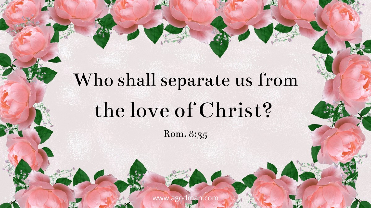 Who shall separate us from the love of Christ? Shall tribulation or anguish or persecution or famine or nakedness or peril or sword? Rom. 8:35