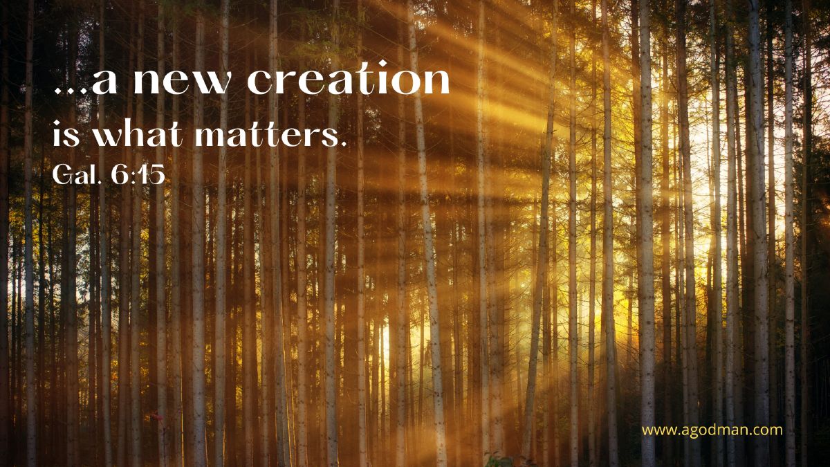 ...a new creation is what matters. Gal. 6:15