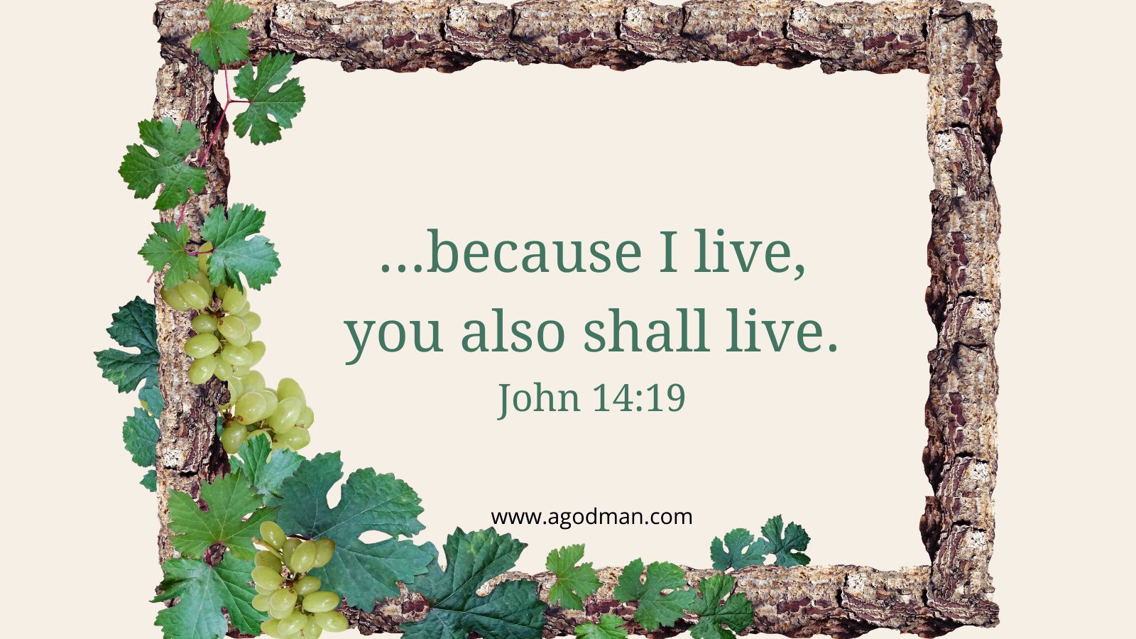 ...because I live, you also shall live. John 14:19