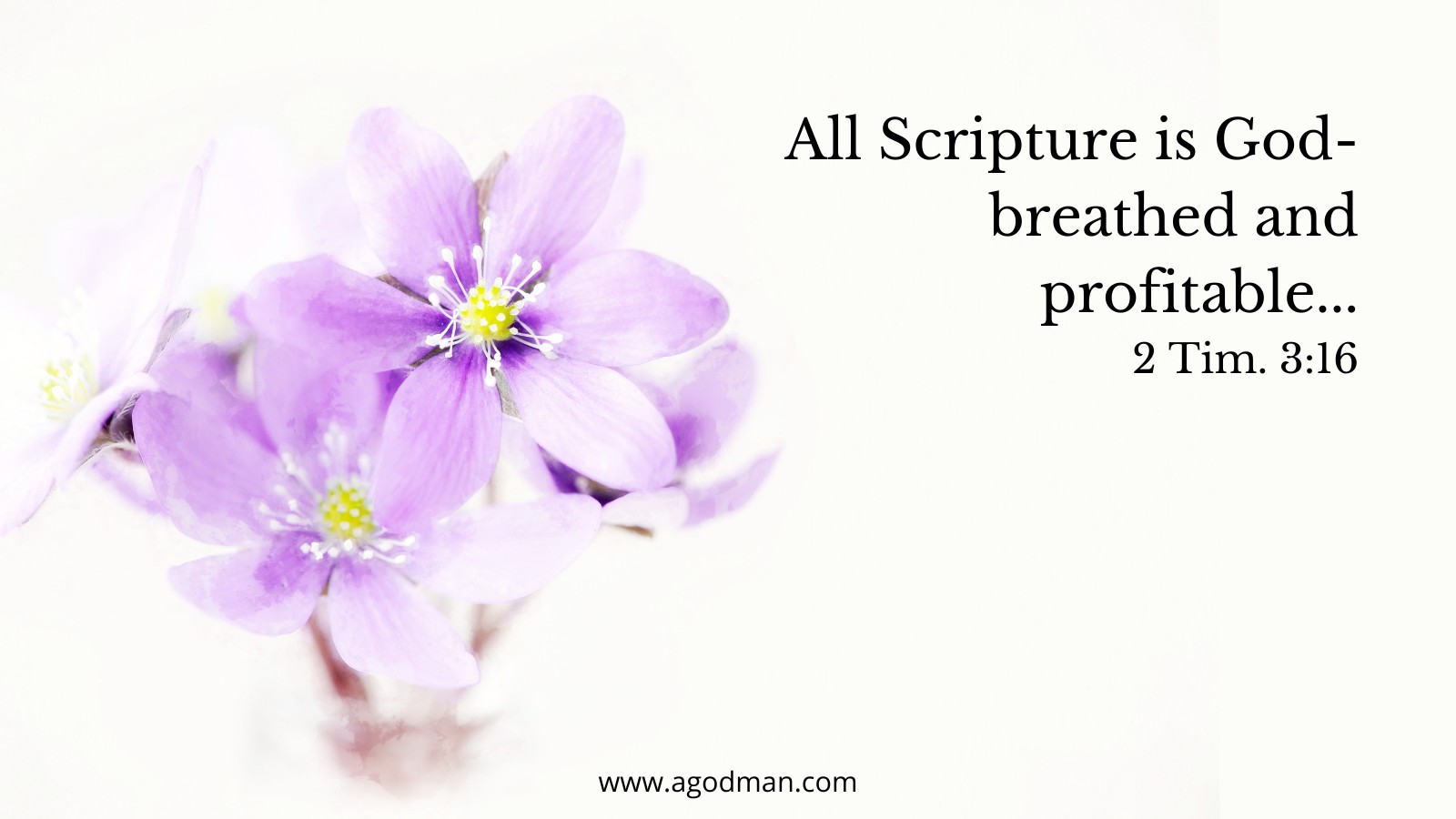 All Scripture is God-breathed and profitable for teaching, for conviction, for correction, for instruction in righteousness. 2 Tim. 3:16