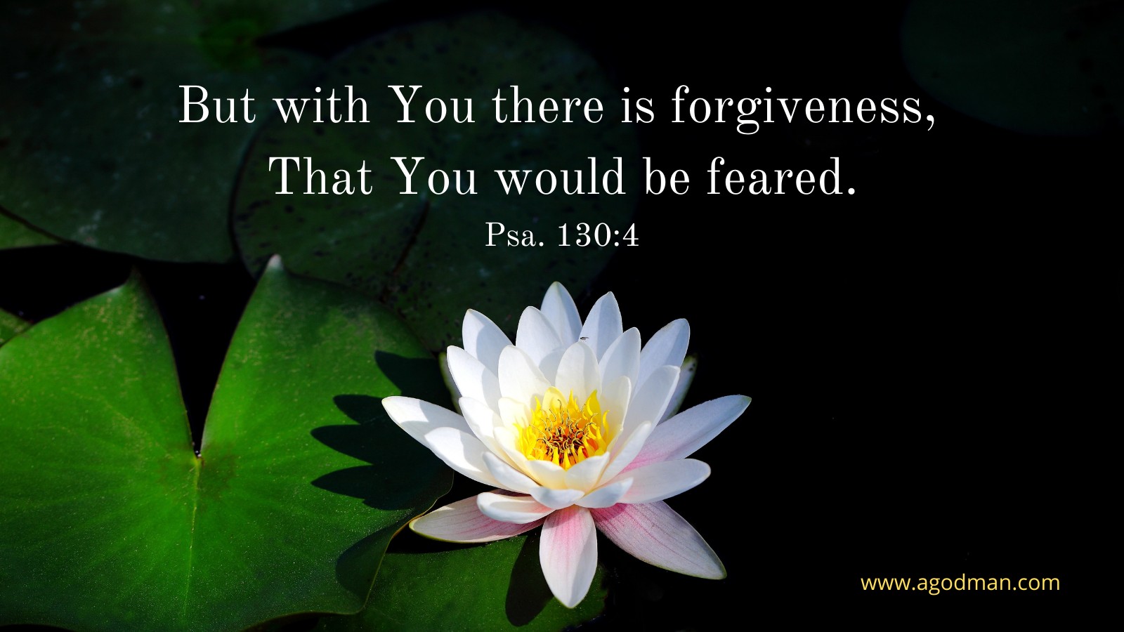 But with You there is forgiveness, / That You would be feared. Psa. 130:4