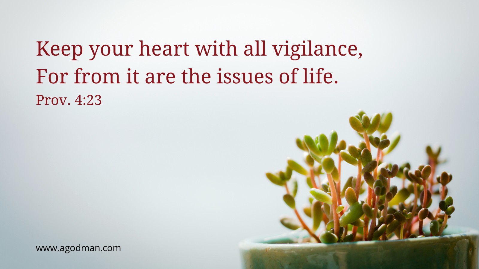 Keep your heart with all vigilance, For from it are the issues of life. Prov. 4:23