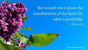 But to each one is given the manifestation of the Spirit for what is profitable. 1 Cor. 12:7