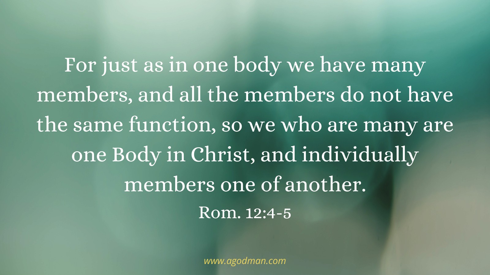 For just as in one body we have many members, and all the members do not have the same function, so we who are many are one Body in Christ, and individually members one of another. Rom. 12:4-5