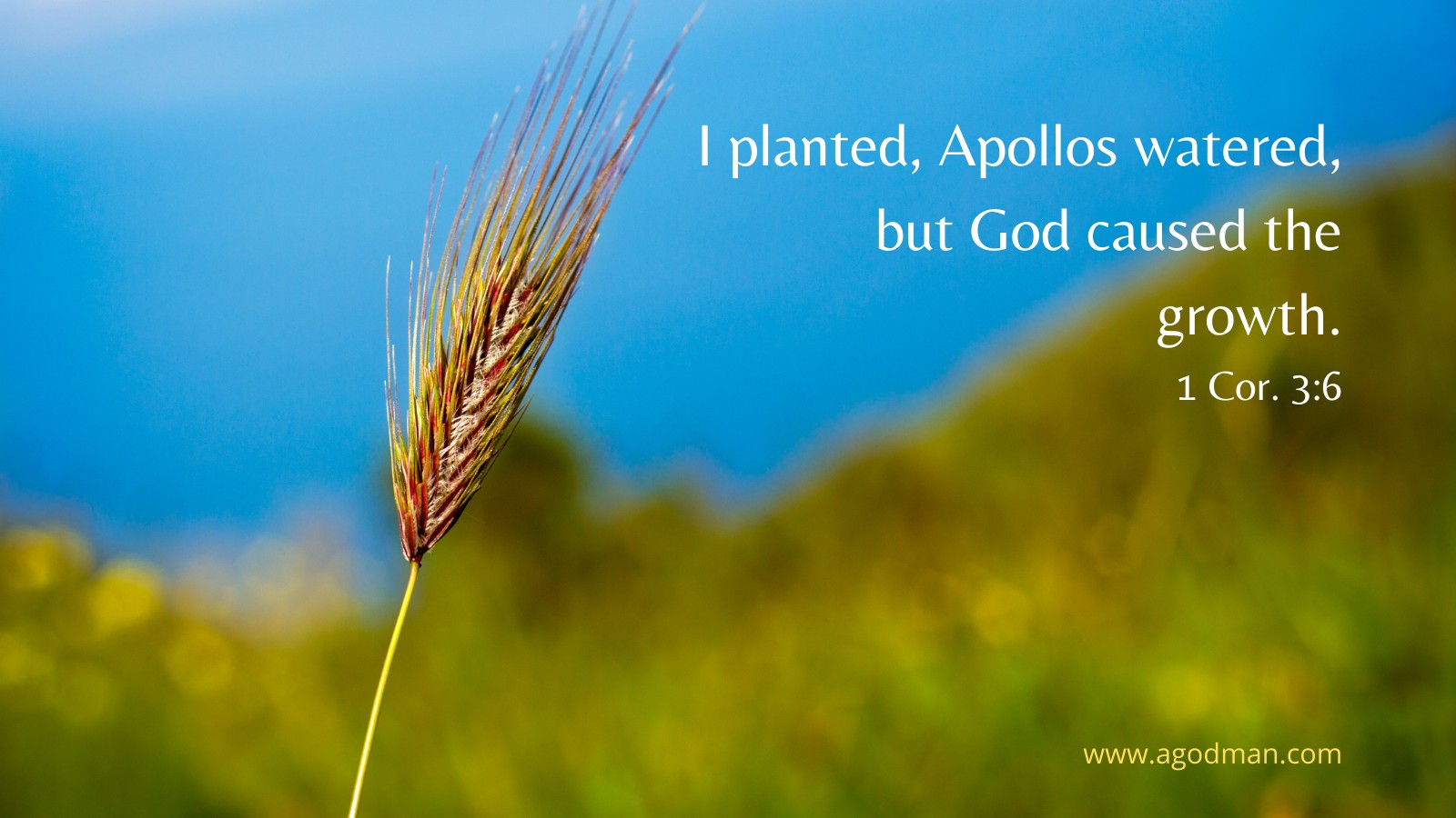 I planted, Apollos watered, but God caused the growth. 1 Cor. 3:6