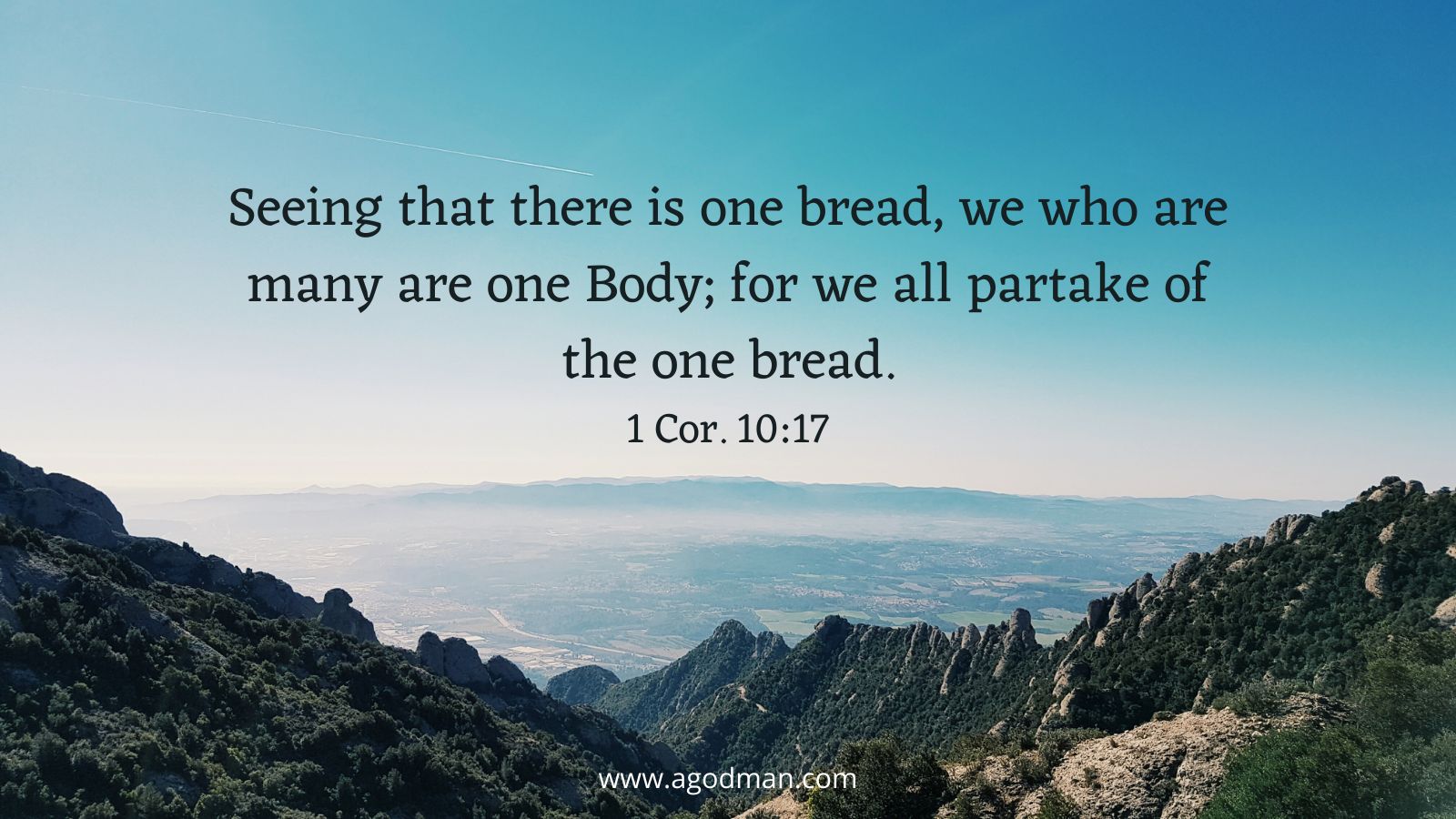 Seeing that there is one bread, we who are many are one Body; for we all partake of the one bread. 1 Cor. 10:17
