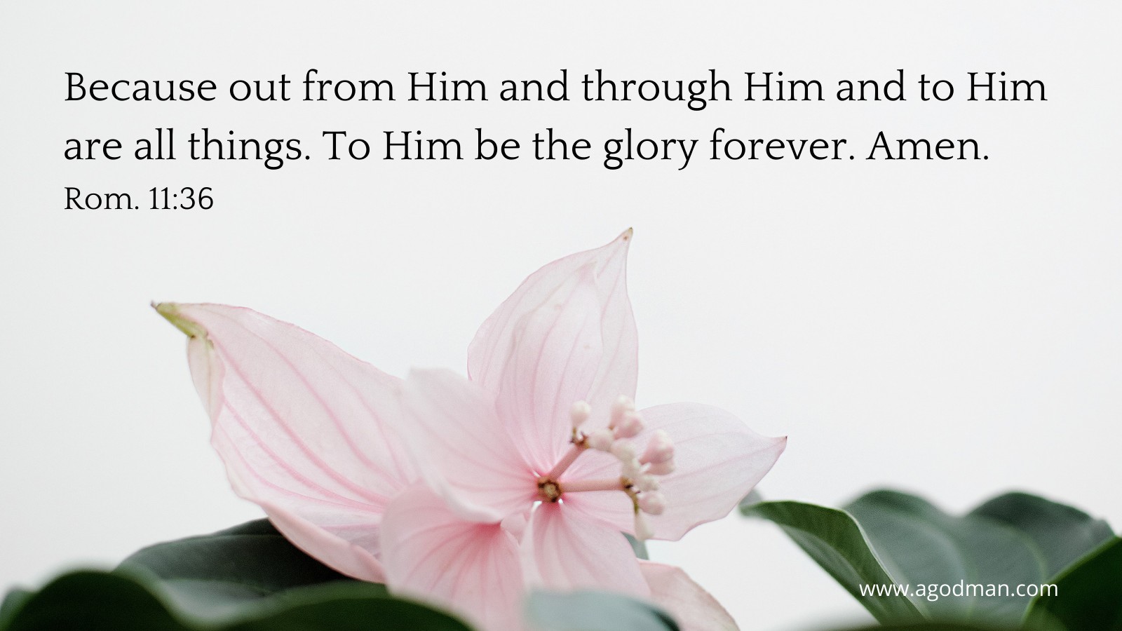 Because out from Him and through Him and to Him are all things. To Him be the glory forever. Amen. Rom. 11:36