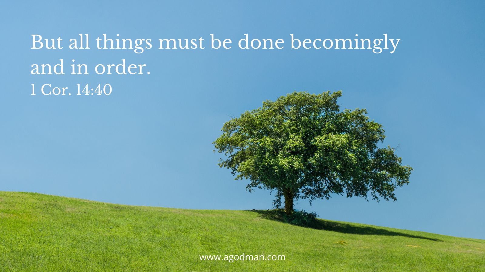 But all things must be done becomingly and in order. 1 Cor. 14:40