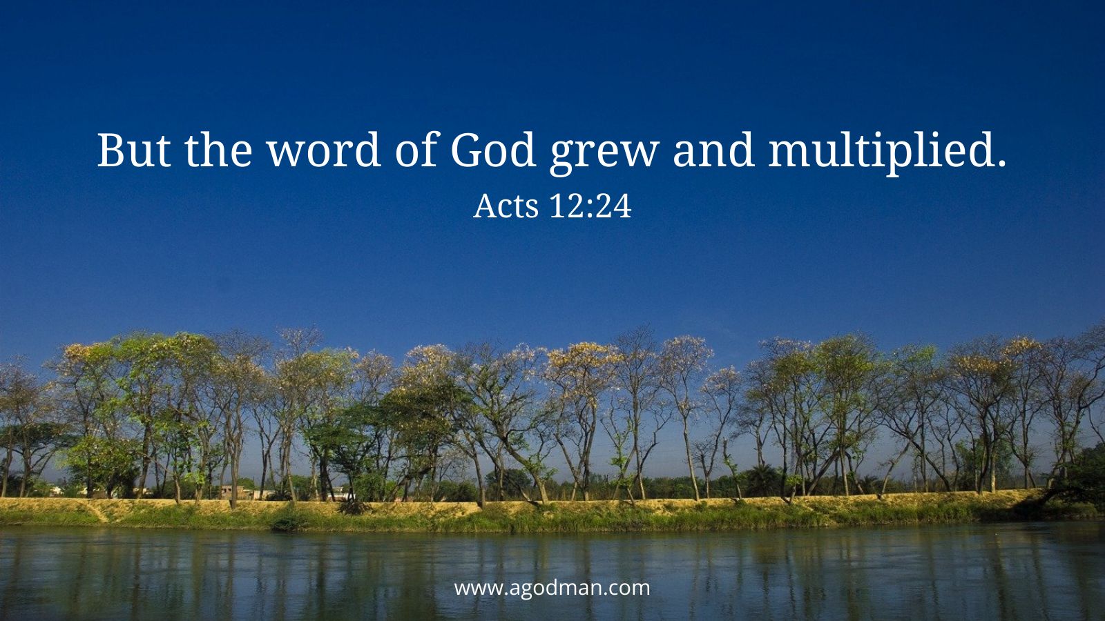 But the word of God grew and multiplied. Acts 12:24