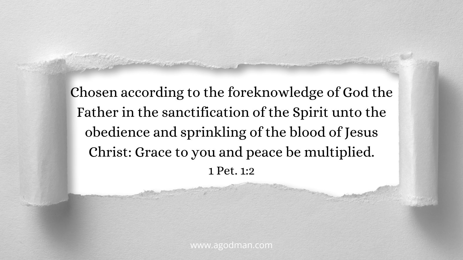 Chosen according to the foreknowledge of God the Father in the sanctification of the Spirit unto the obedience and sprinkling of the blood of Jesus Christ: Grace to you and peace be multiplied. 1 Pet. 1:2