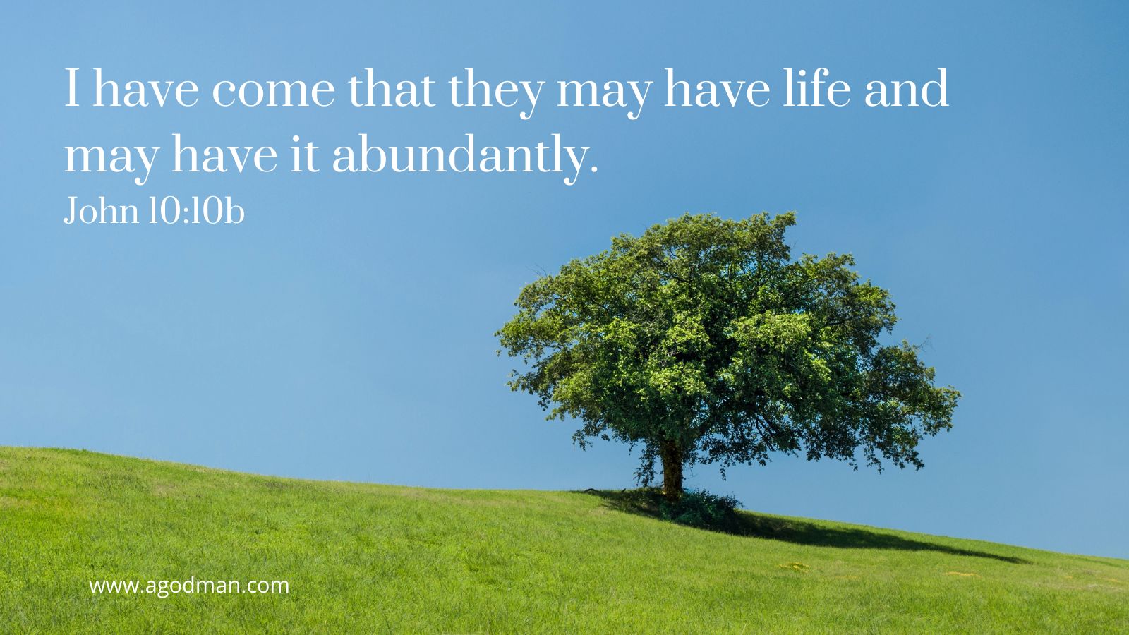 I have come that they may have life and may have it abundantly. John 10:10b
