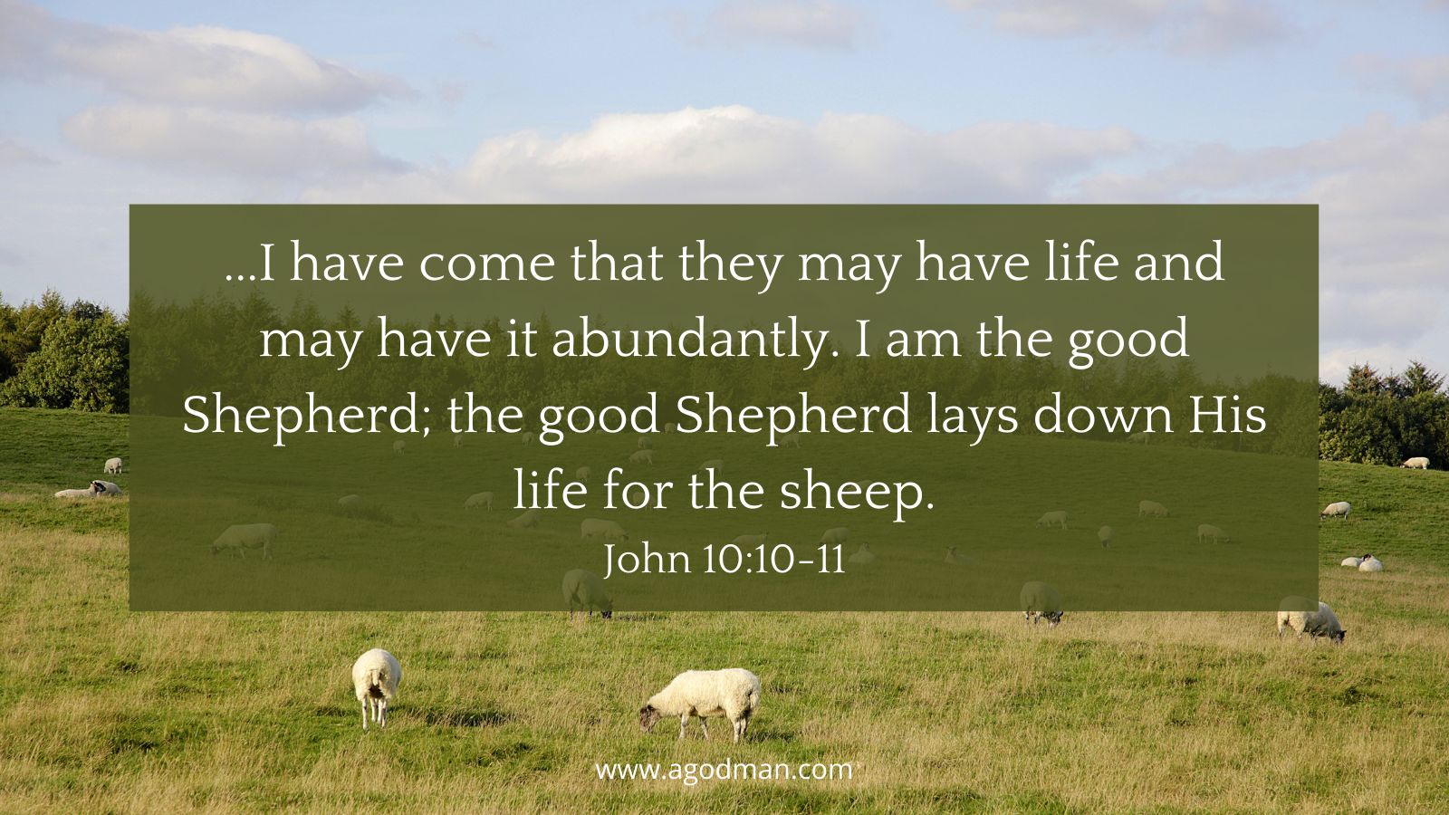 ...I have come that they may have life and may have it abundantly. I am the good Shepherd; the good Shepherd lays down His life for the sheep. John 10:10-11