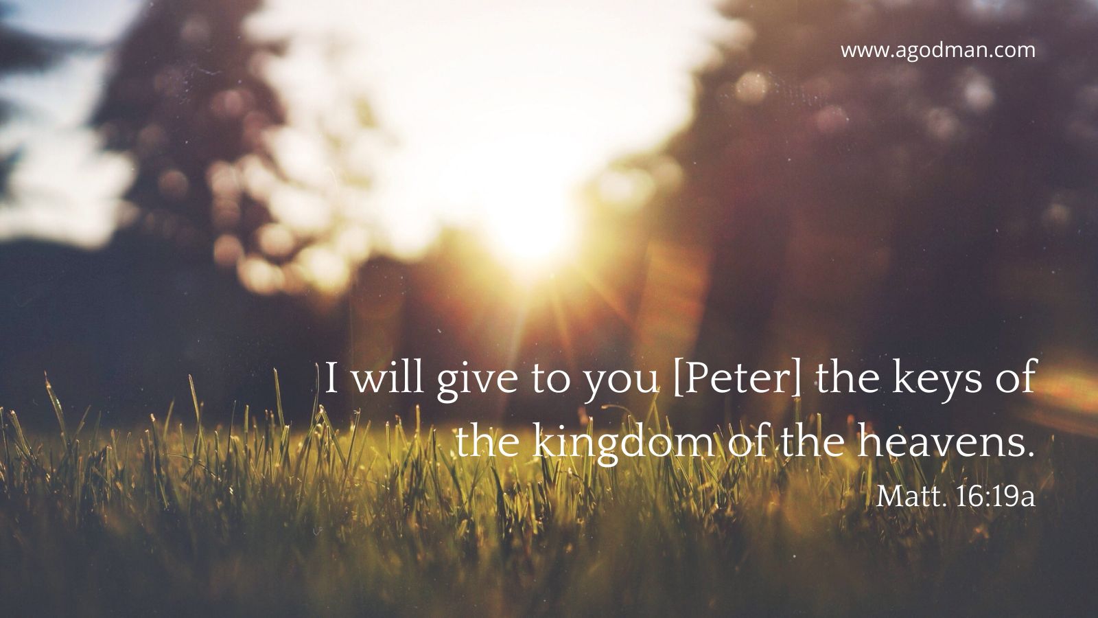 I will give to you [Peter] the keys of the kingdom of the heavens. Matt. 16:19a