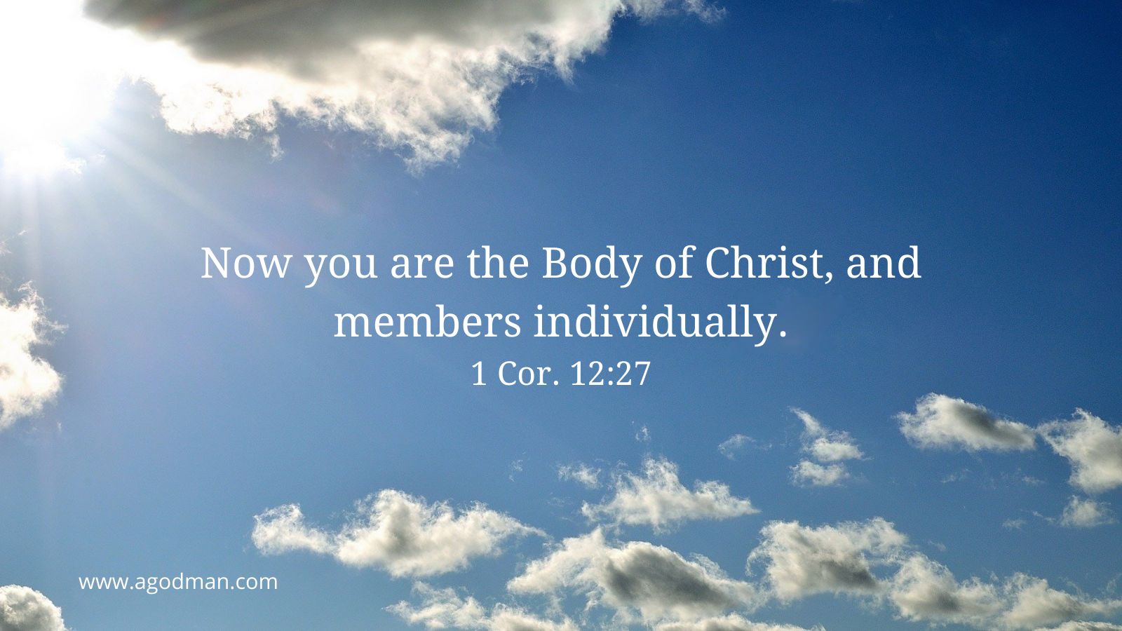 Now you are the Body of Christ, and members individually. 1 Cor. 12:27