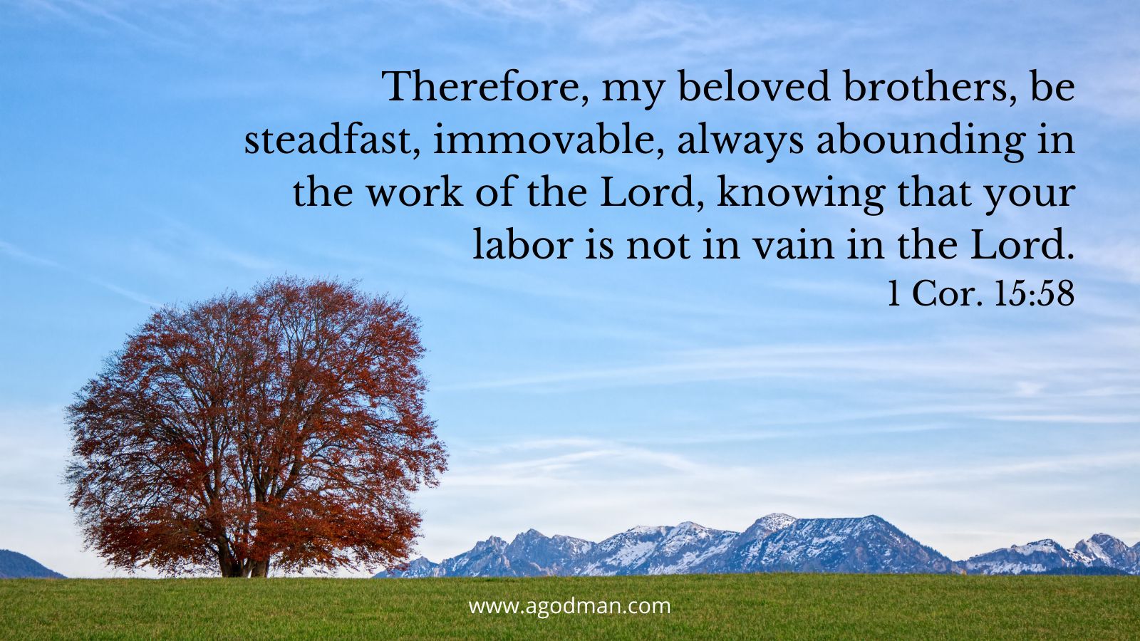 Therefore, my beloved brothers, be steadfast, immovable, always abounding in the work of the Lord, knowing that your labor is not in vain in the Lord. 1 Cor. 15:58