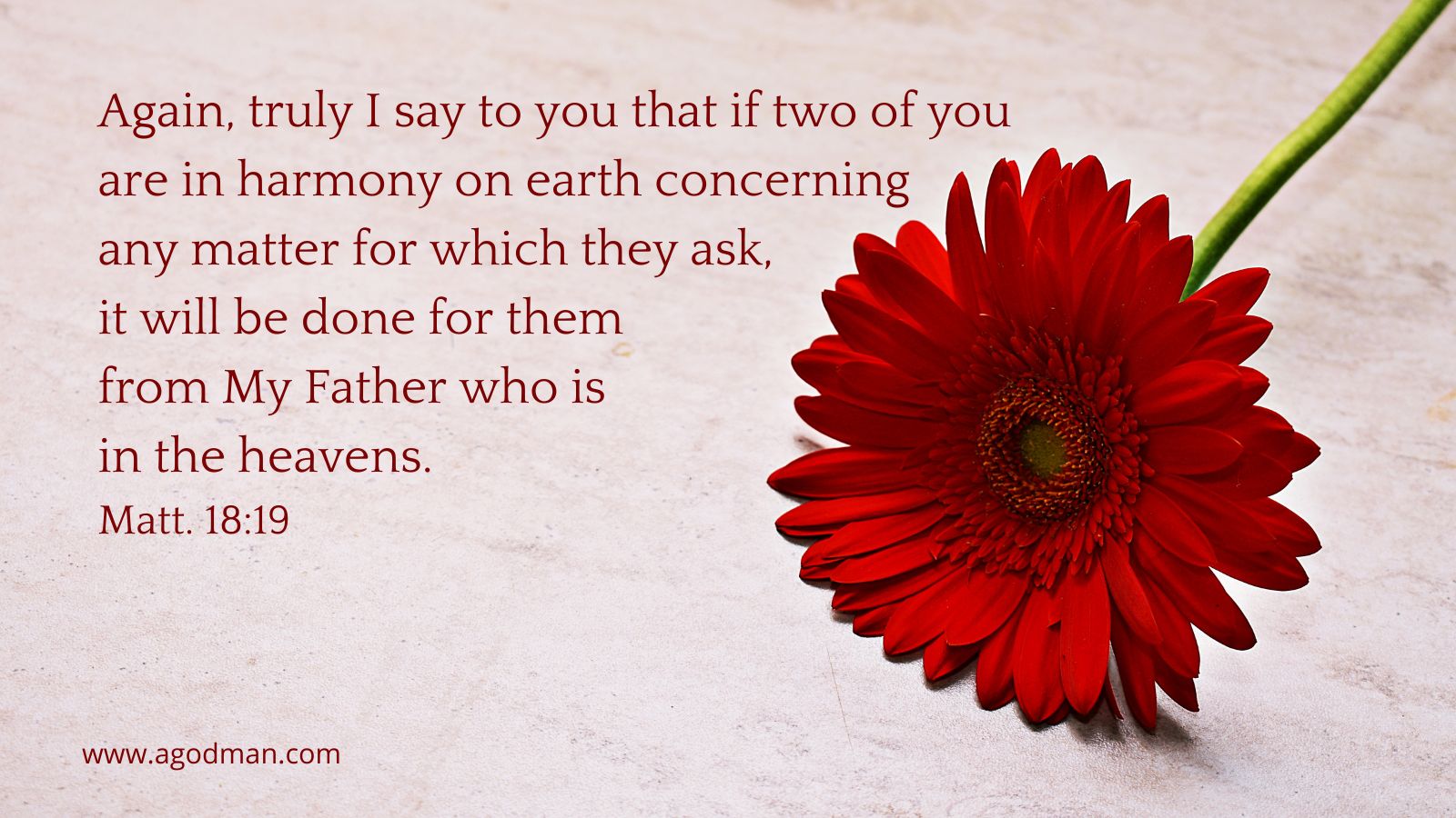 Again, truly I say to you that if two of you are in harmony on earth concerning any matter for which they ask, it will be done for them from My Father who is in the heavens. Matt. 18:19