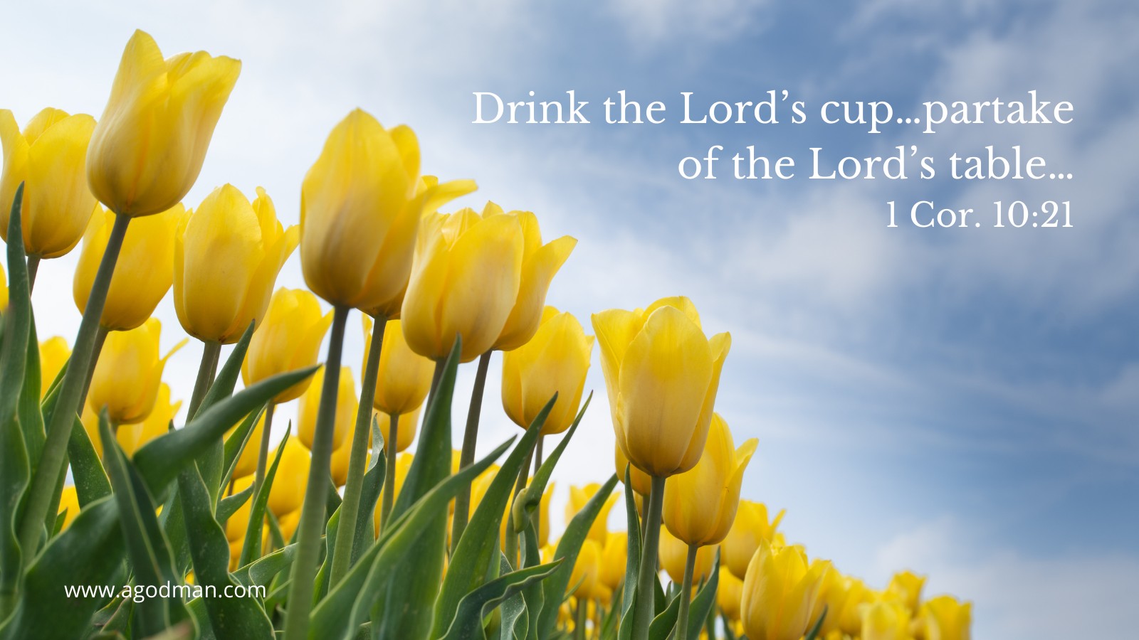 Drink the Lord’s cup…partake of the Lord’s table…1 Cor. 10:21