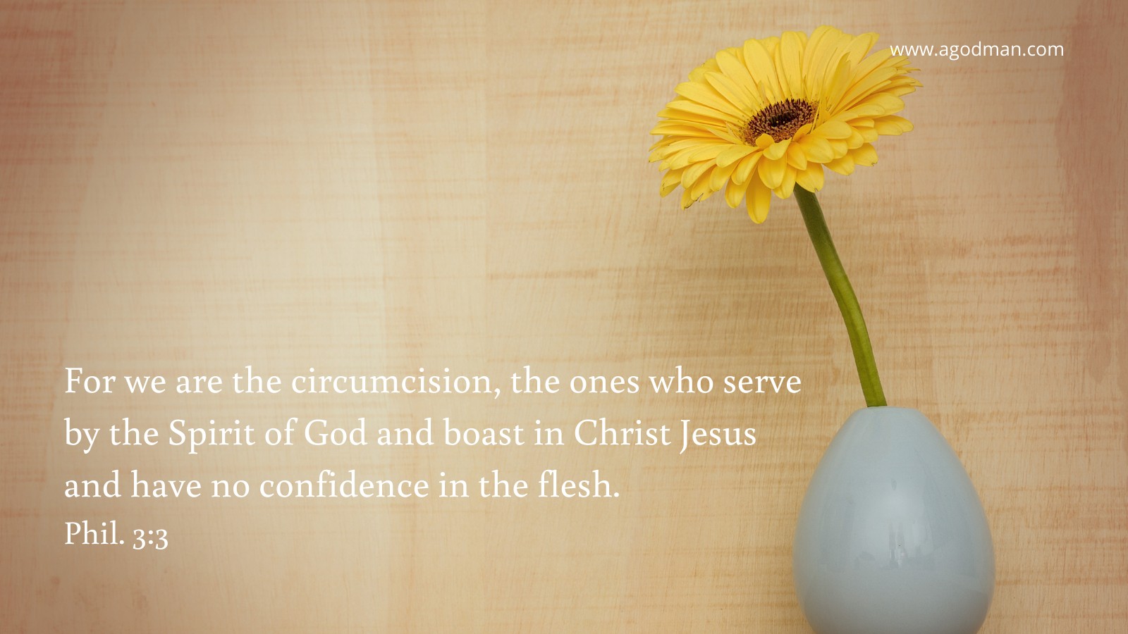 For we are the circumcision, the ones who serve by the Spirit of God and boast in Christ Jesus and have no confidence in the flesh. Phil. 3:3