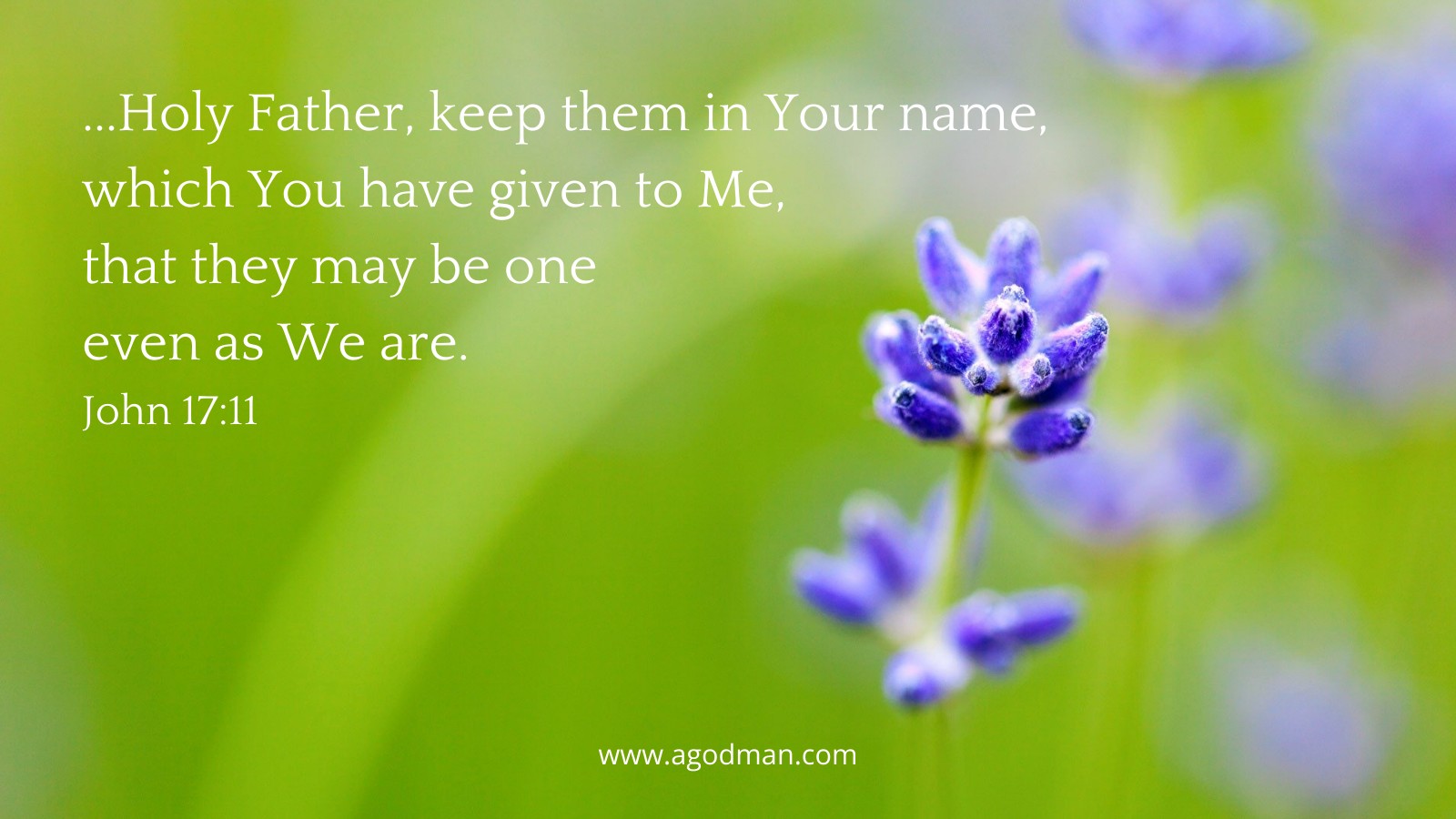 ...Holy Father, keep them in Your name, which You have given to Me, that they may be one even as We are. John 17:11