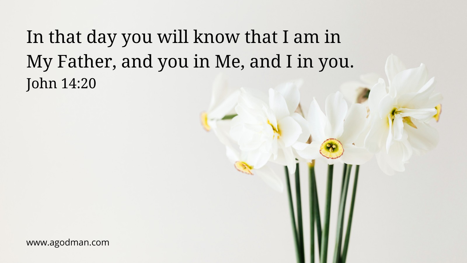 In that day you will know that I am in My Father, and you in Me, and I in you. John 14:20