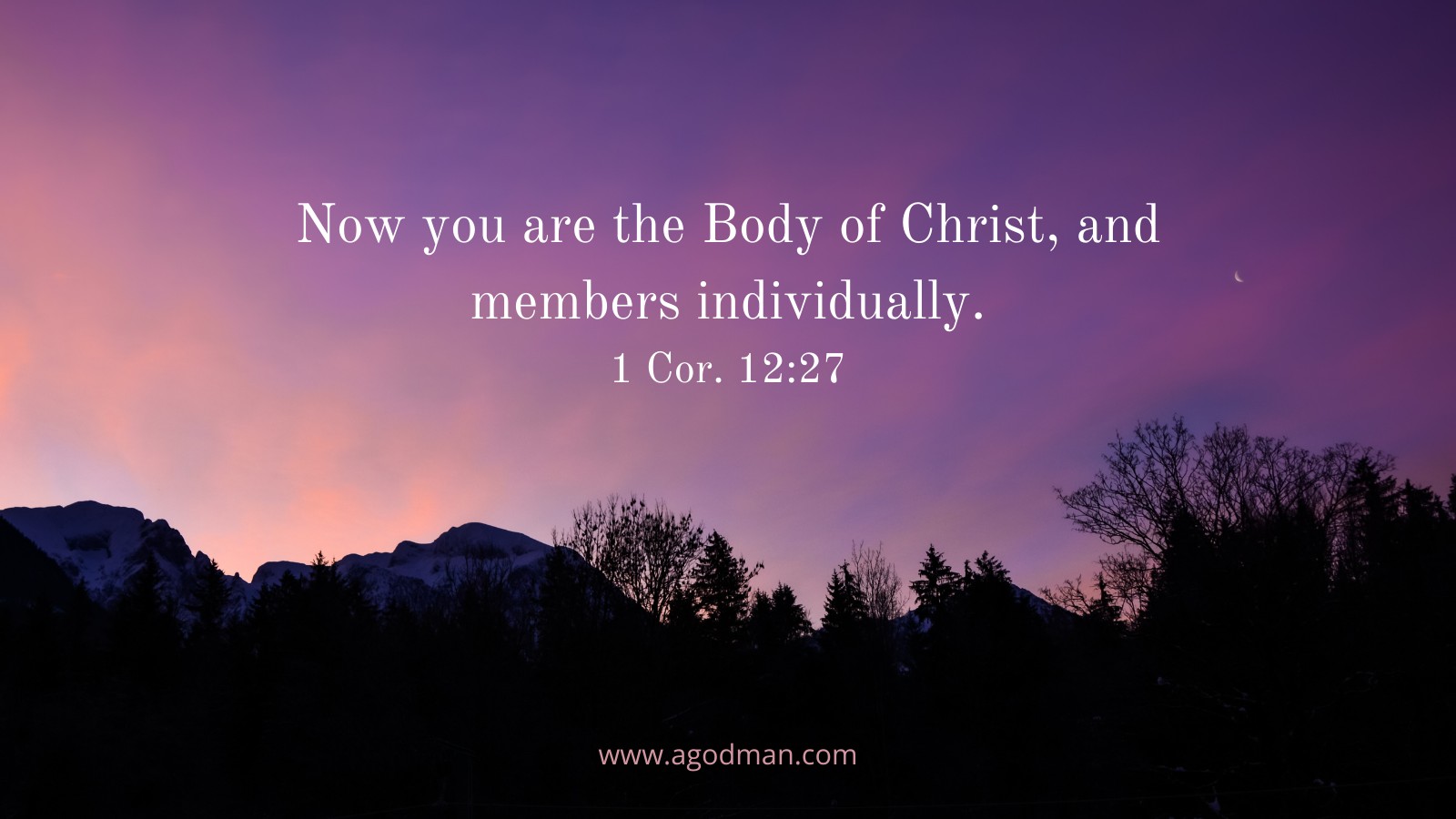 Now you are the Body of Christ, and members individually. 1 Cor. 12:27