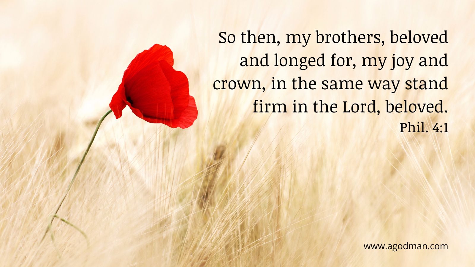 So then, my brothers, beloved and longed for, my joy and crown, in the same way stand firm in the Lord, beloved. Phil. 4:1