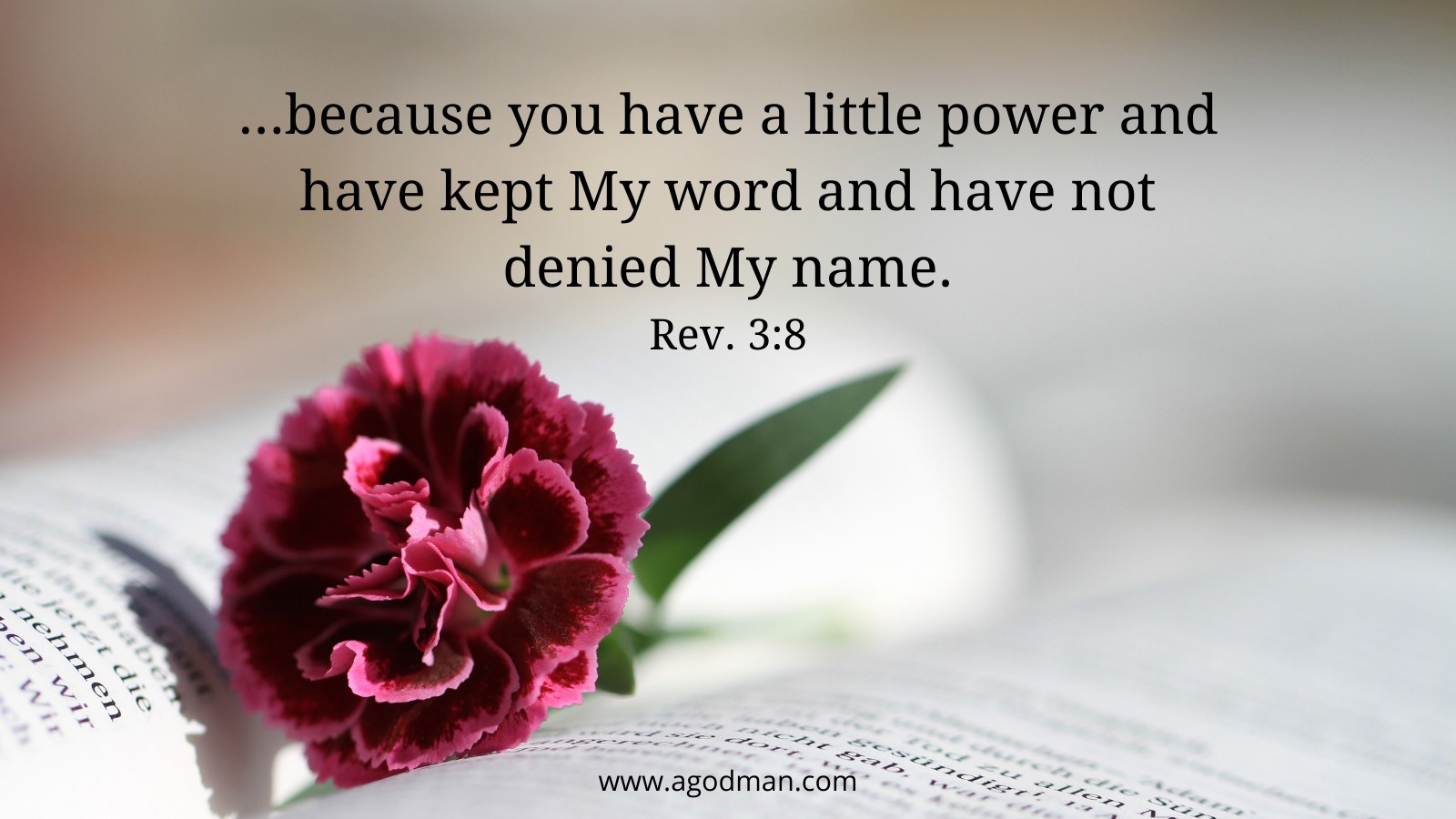 ...because you have a little power and have kept My word and have not denied My name. Rev. 3:8