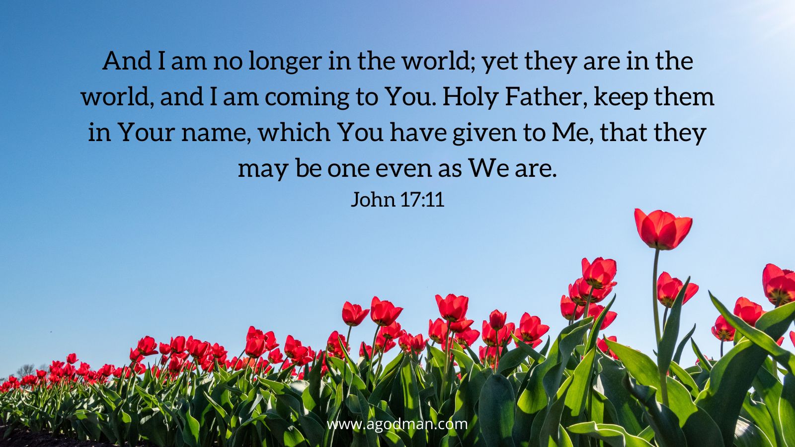 And I am no longer in the world; yet they are in the world, and I am coming to You. Holy Father, keep them in Your name, which You have given to Me, that they may be one even as We are. John 17:11
