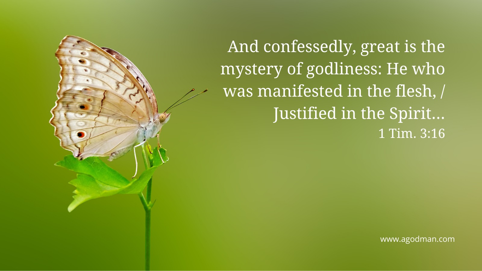 And confessedly, great is the mystery of godliness: He who was manifested in the flesh, / Justified in the Spirit... 1 Tim. 3:16
