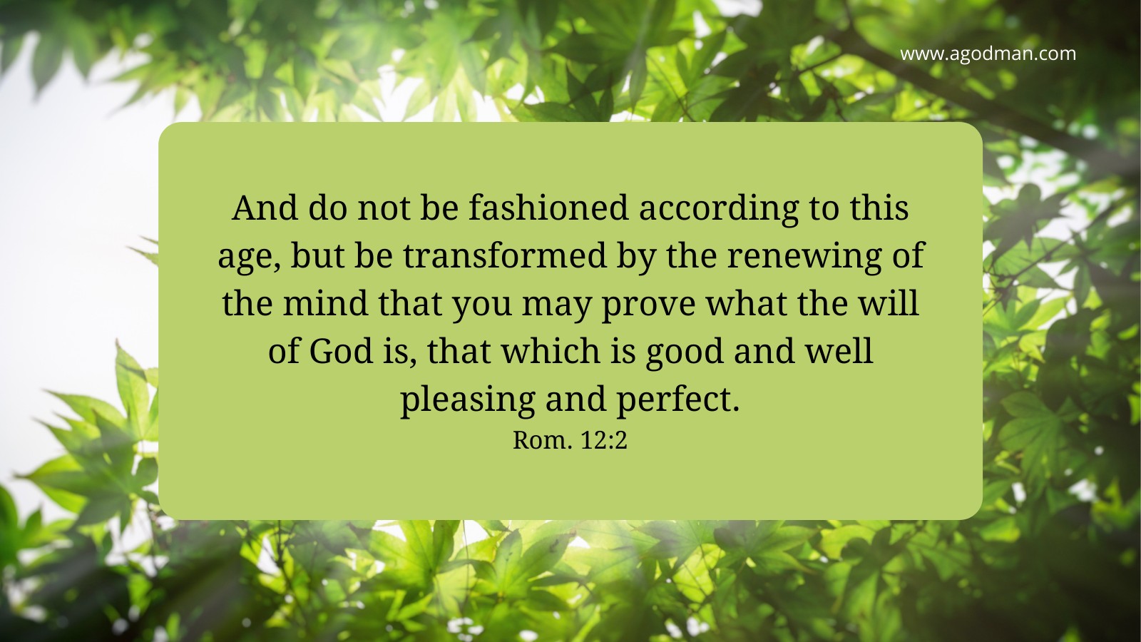 And do not be fashioned according to this age, but be transformed by the renewing of the mind that you may prove what the will of God is, that which is good and well pleasing and perfect. Rom. 12:2