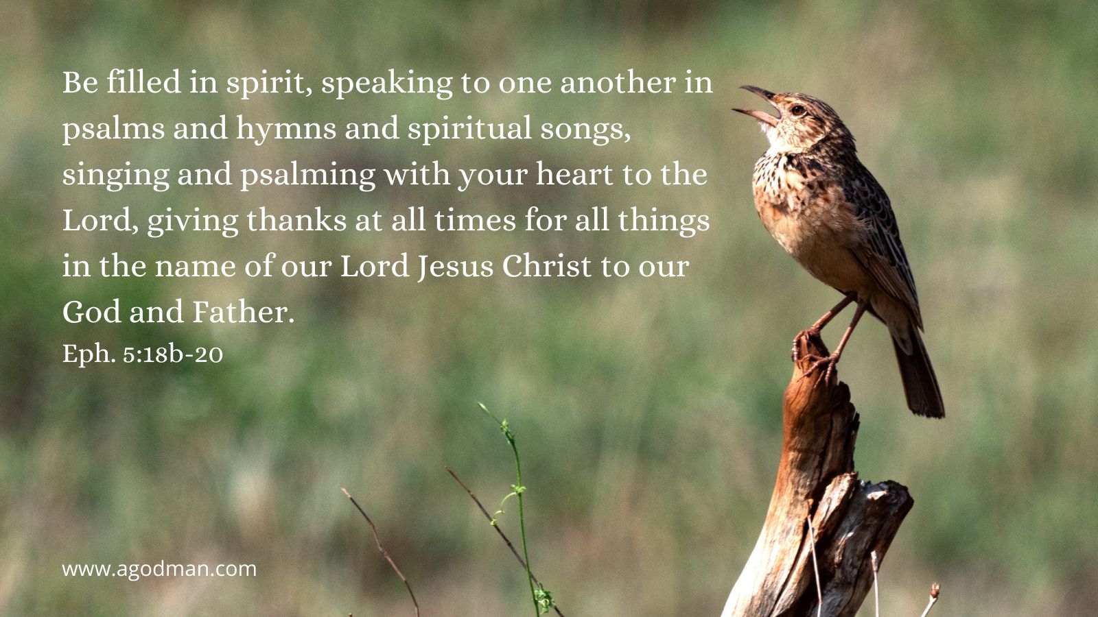 Be filled in spirit, speaking to one another in psalms and hymns and spiritual songs, singing and psalming with your heart to the Lord, giving thanks at all times for all things in the name of our Lord Jesus Christ to our God and Father. Eph. 5:18b-20