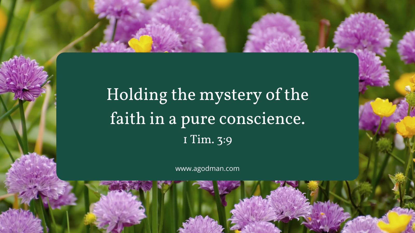 Holding the mystery of the faith in a pure conscience. 1 Tim. 3:9 - Our Greatest Need is to Get into the Truth and be Trained in the Divine Revelation