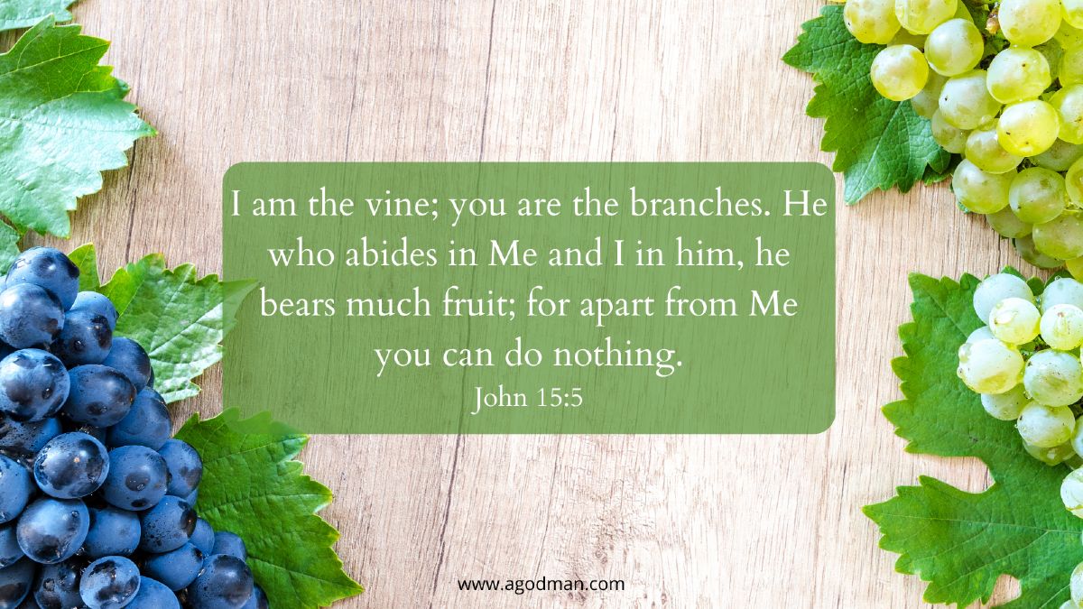 I am the vine; you are the branches. He who abides in Me and I in him, he bears much fruit; for apart from Me you can do nothing. John 15:5