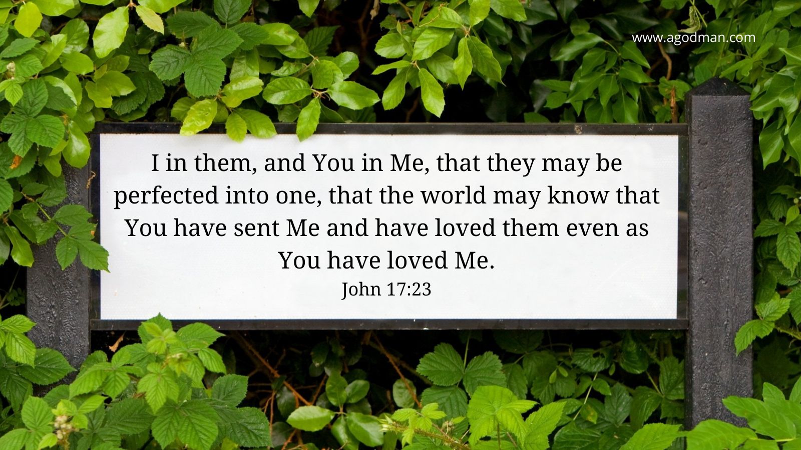 I in them, and You in Me, that they may be perfected into one, that the world may know that You have sent Me and have loved them even as You have loved Me. John 17:23