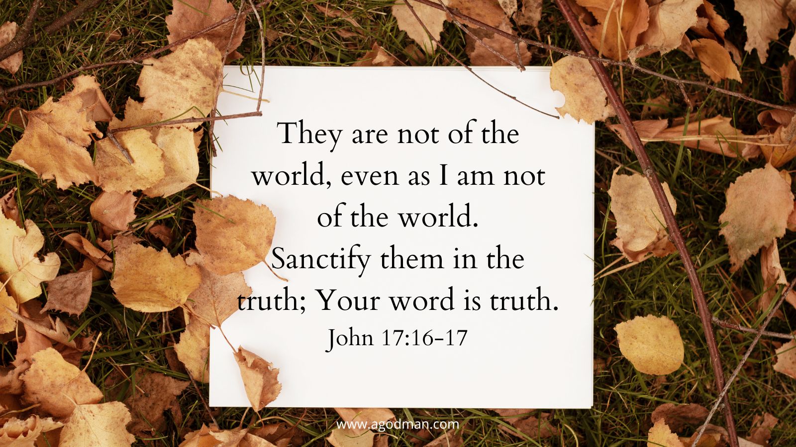They are not of the world, even as I am not of the world. Sanctify them in the truth; Your word is truth. John 17:16-17