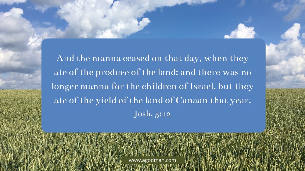 And the manna ceased on that day, when they ate of the produce of the land; and there was no longer manna for the children of Israel, but they ate of the yield of the land of Canaan that year. Josh. 5:12