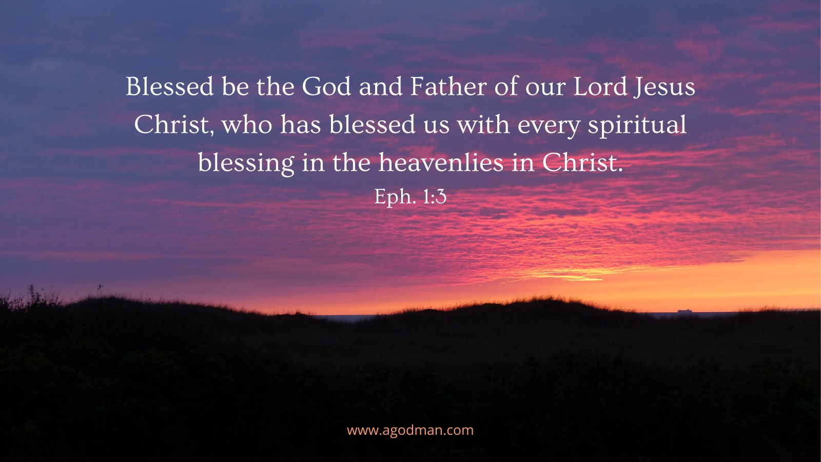 Blessed be the God and Father of our Lord Jesus Christ, who has blessed us with every spiritual blessing in the heavenlies in Christ. Eph. 1:3