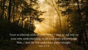 Trust in Jehovah with all your heart, / And do not rely on your own understanding; in all your ways acknowledge Him, / And He will make your paths straight. Prov. 3:5-6