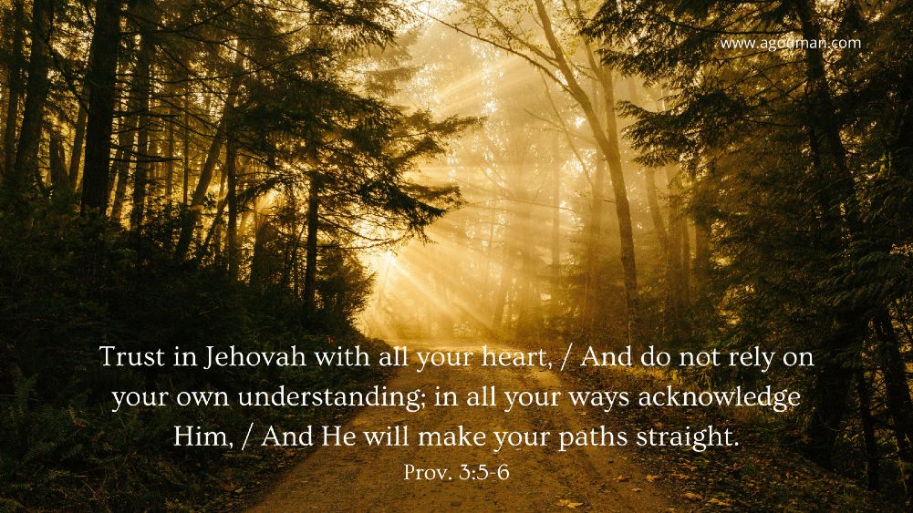 Trust in Jehovah with all your heart, / And do not rely on your own understanding; in all your ways acknowledge Him, / And He will make your paths straight. Prov. 3:5-6