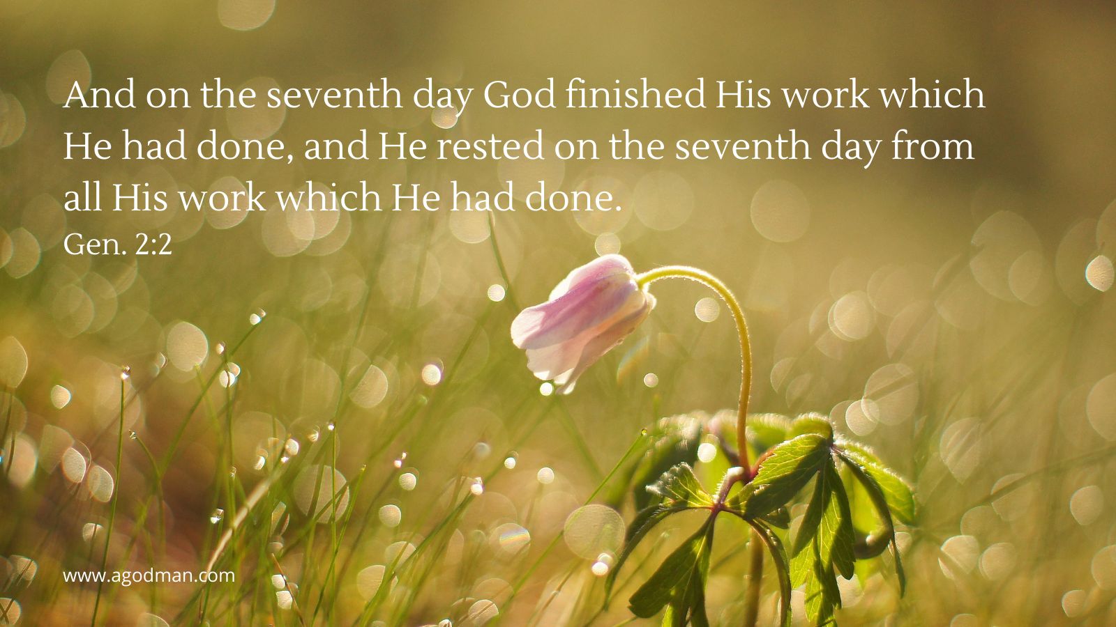 And on the seventh day God finished His work which He had done, and He rested on the seventh day from all His work which He had done. Gen. 2:2
