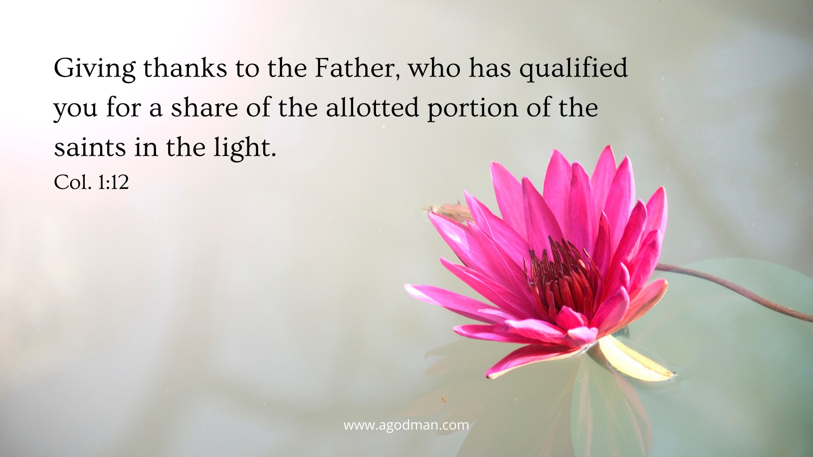 Giving thanks to the Father, who has qualified you for a share of the allotted portion of the saints in the light. Col. 1:12