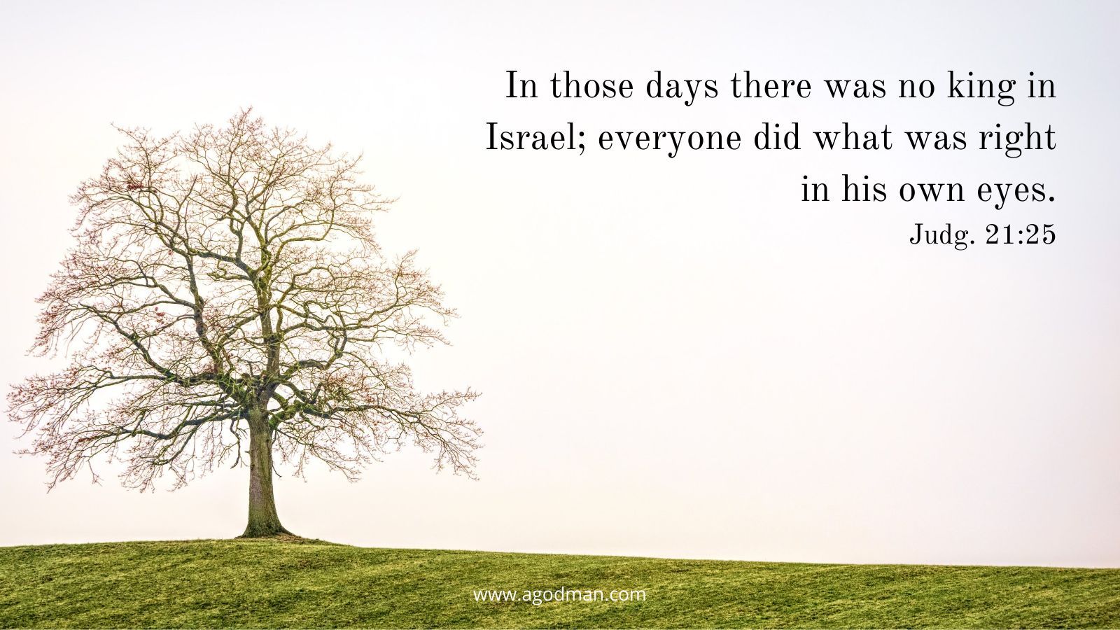 In those days there was no king in Israel; everyone did what was right in his own eyes. Judg. 21:25