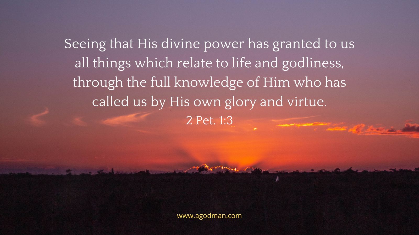 Seeing that His divine power has granted to us all things which relate to life and godliness, through the full knowledge of Him who has called us by His own glory and virtue. 2 Pet. 1:3