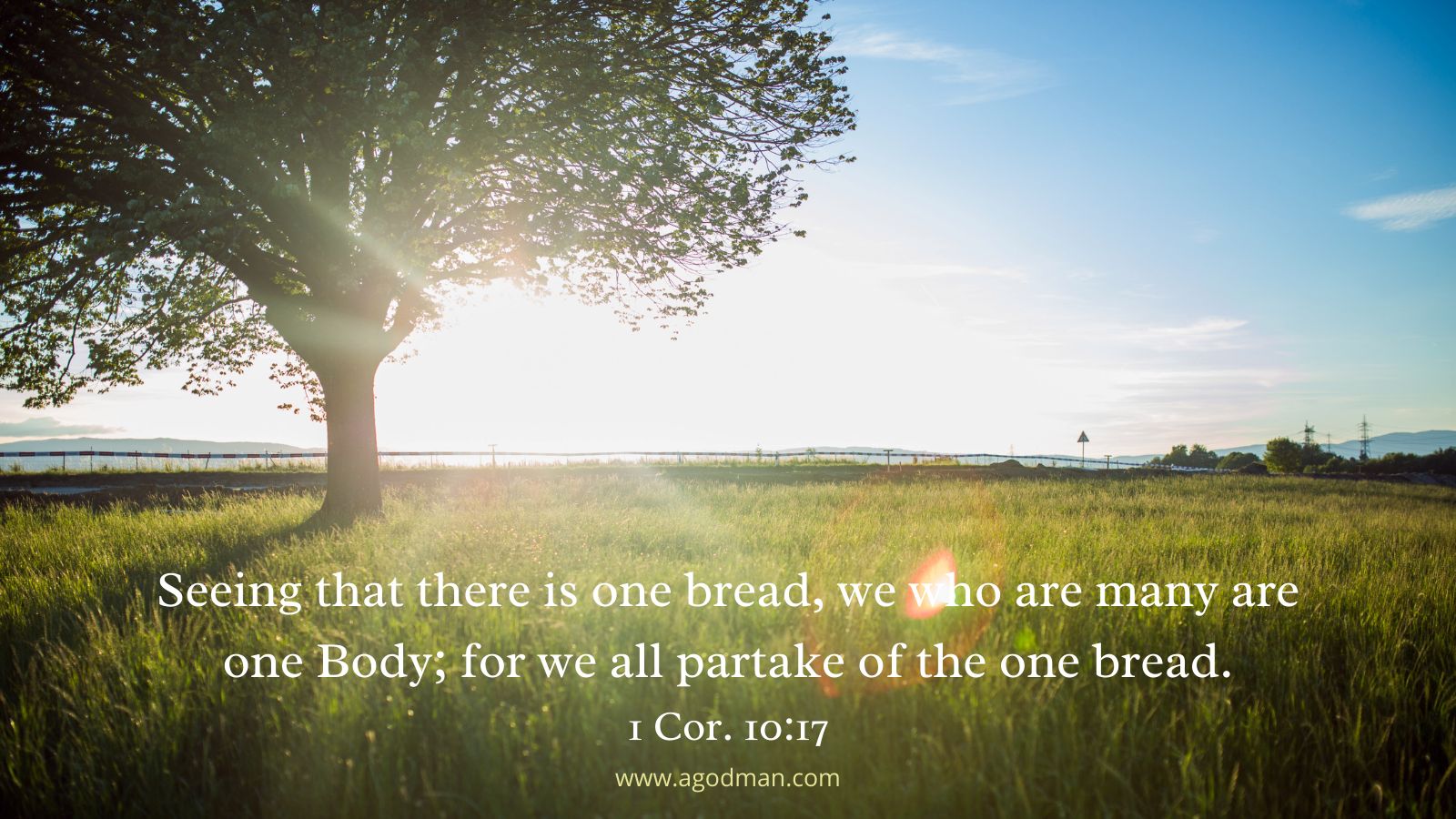 Seeing that there is one bread, we who are many are one Body; for we all partake of the one bread. 1 Cor. 10:17
