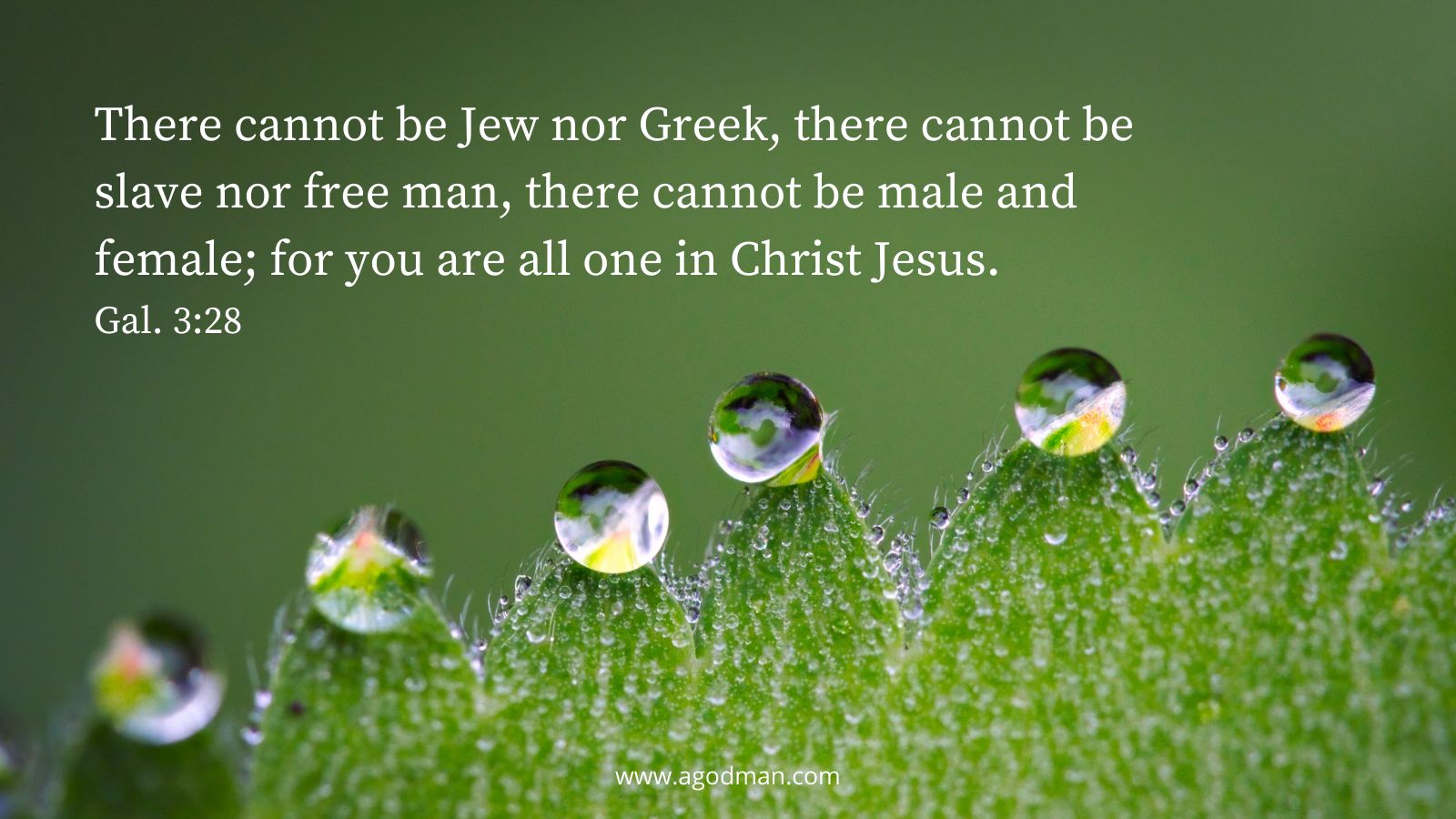 There cannot be Jew nor Greek, there cannot be slave nor free man, there cannot be male and female; for you are all one in Christ Jesus. Gal. 3:28