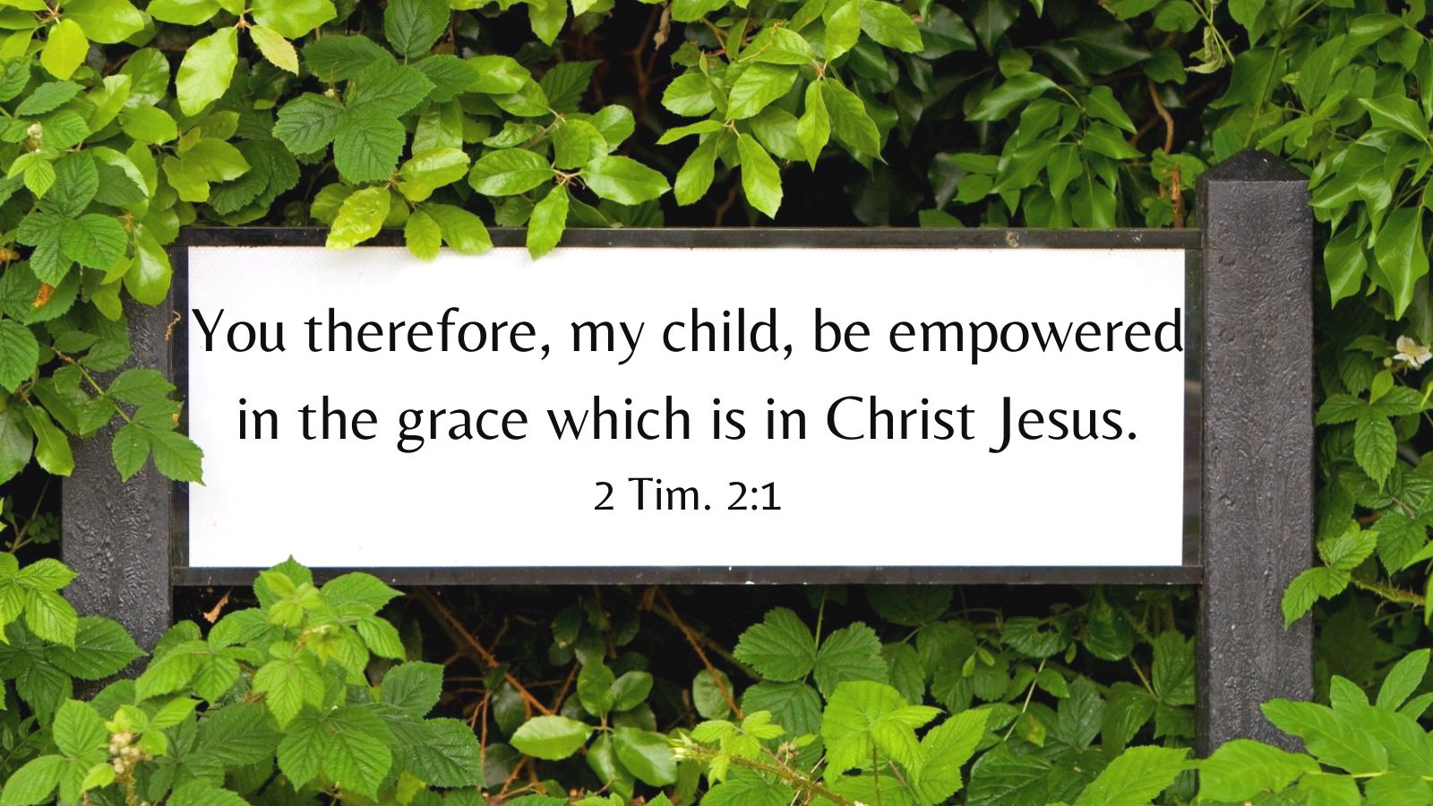 You therefore, my child, be empowered in the grace which is in Christ Jesus. 2 Tim. 2:1