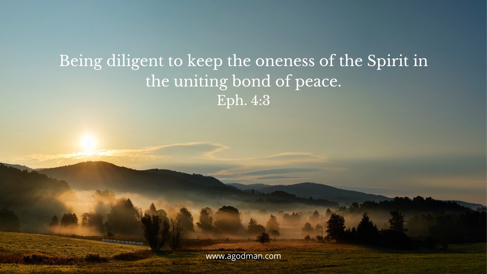 Being diligent to keep the oneness of the Spirit in the uniting bond of peace. Eph. 4:3